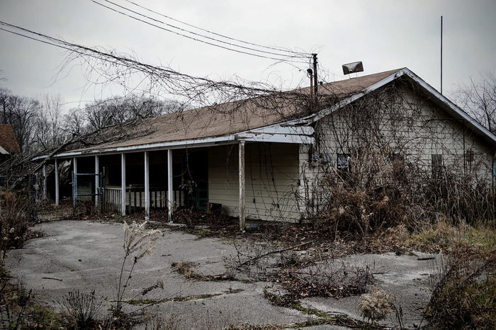 Deer Forest - January 2024 Photo From Dan Keeley (newer photo)
